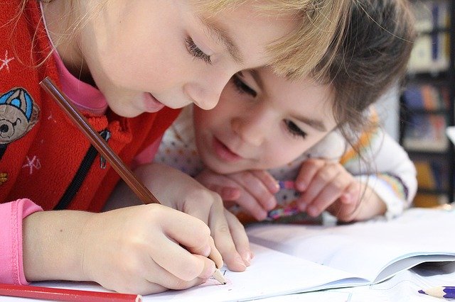 element dekoracyjny - Pedagogika opiekuńczo - wychowawcza /i szkolna
