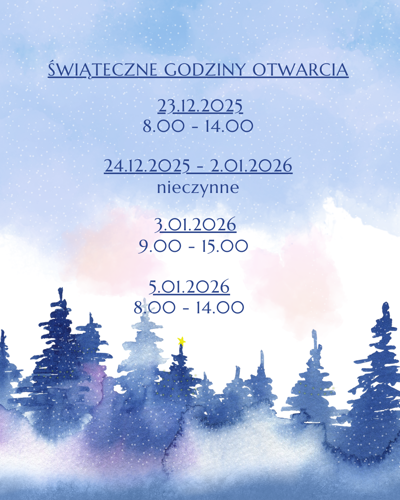 Boże Narodzenie 2025 IG (45).png